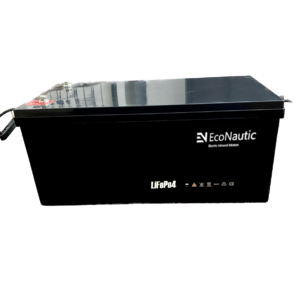 LiFePo4 Lithium Accu